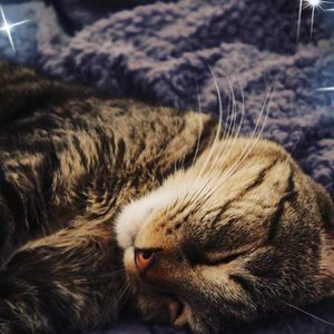 Meet your Posher, Jadda